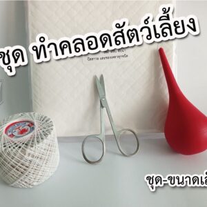 สัตว์เลี้ยงสุนัขใช้เครื่องมือดูดน้ำคร่ำแมวในการคลอด และผลิตเครื่องช่วยหายใจในบ้านเด็กแรกเกิดที่ดูดน้ำคร่ำ ทำคลอดแมวหมา